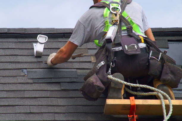 Best Roof Gutter Cleaning  in Downs, IL