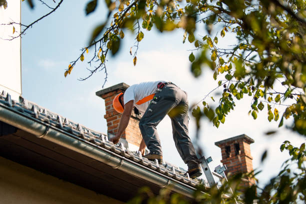 Best Tile Roofing Contractor  in Downs, IL