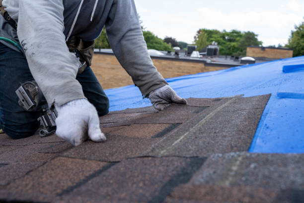 Best Metal Roofing Contractor  in Downs, IL
