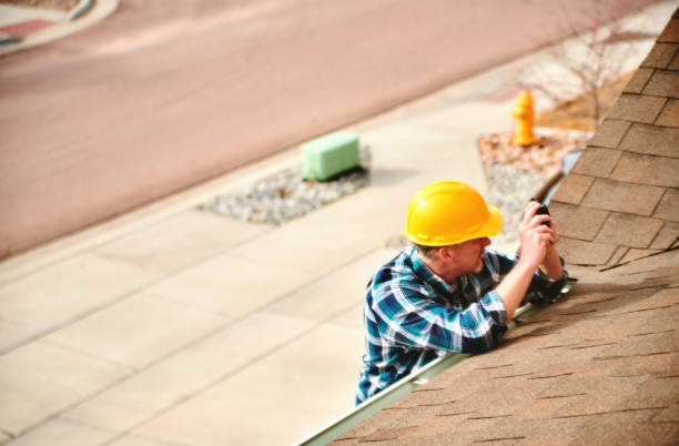 Best Flat Roof Repair Services  in Downs, IL